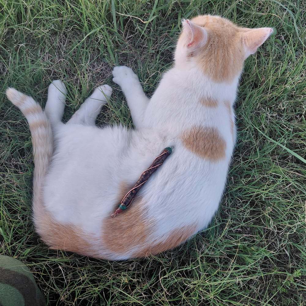 An orange and white cat lying in the grass beside a small wire wrapped wand pendant
