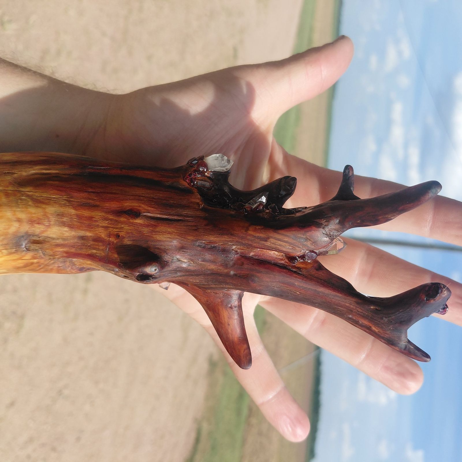 The root head of an eastern red cedar wand set with garnets and clear quartz points, held against the sky