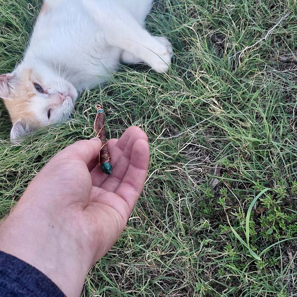A small wire wrapped wand pendant held in the fingers over grass, a cat nearby